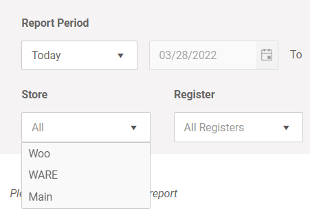 Cloud POS Report by Stores MicroBiz POS